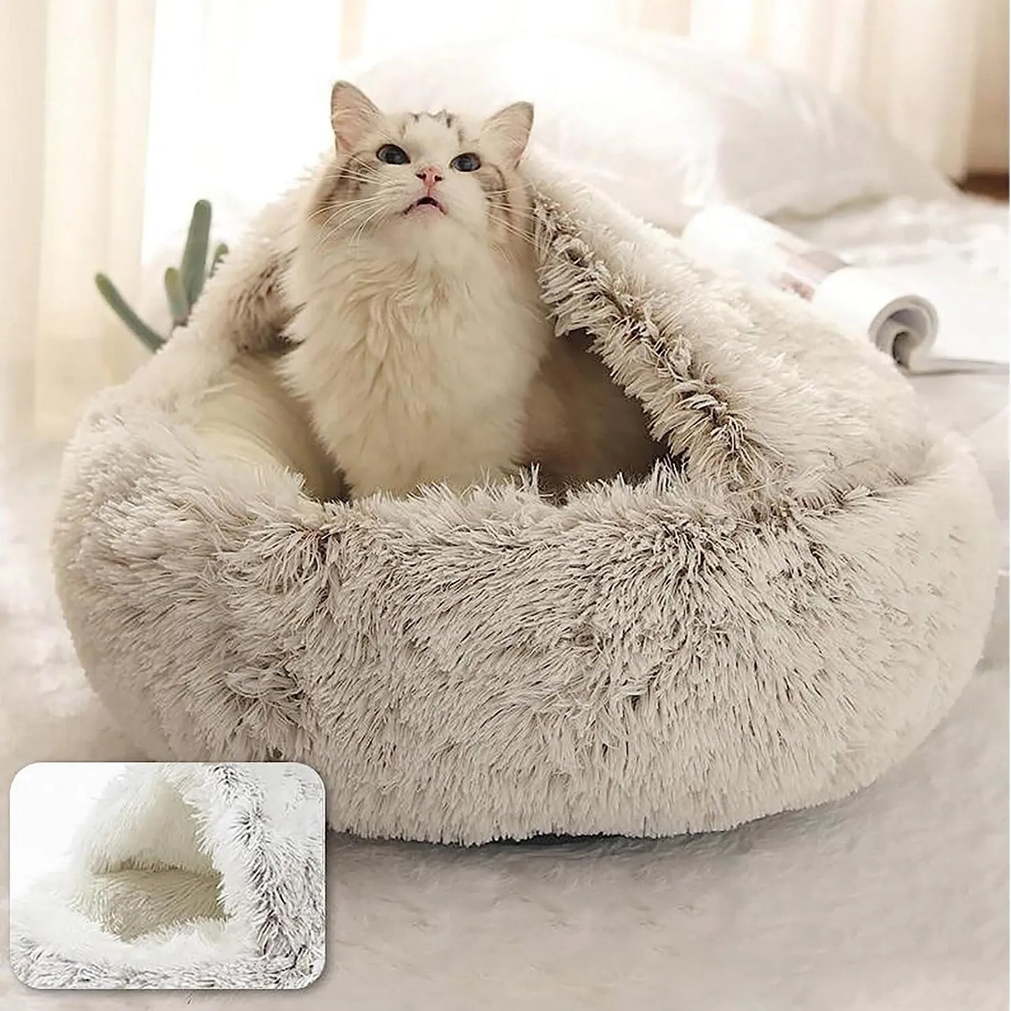 CozyPaws 2-in-1 Katzen- und Kleinhundebett