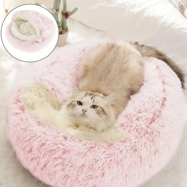 CozyPaws 2-in-1 Katzen- und Kleinhundebett