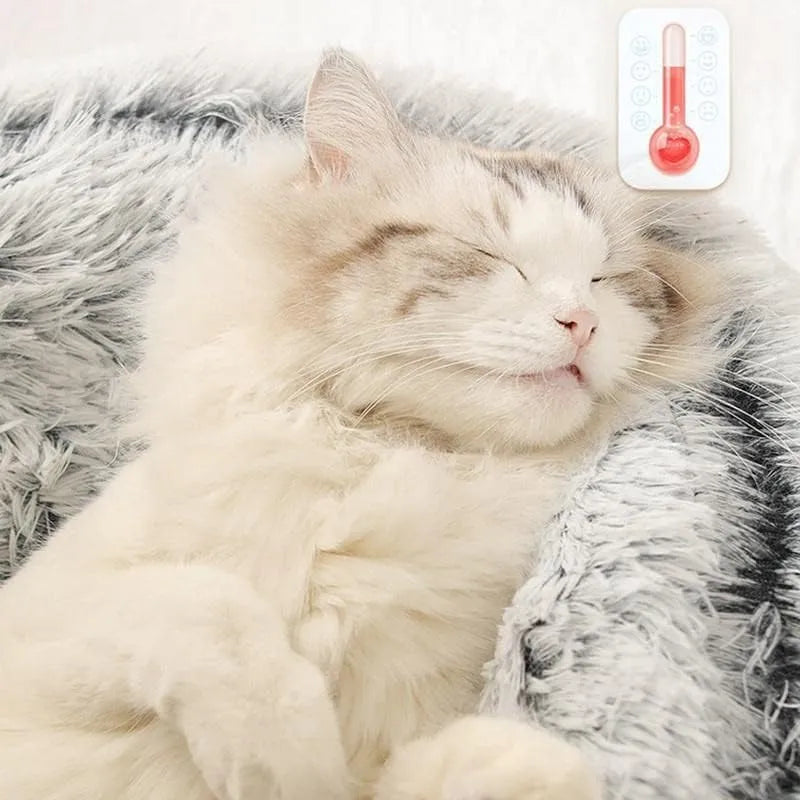 CozyPaws 2-in-1 Katzen- und Kleinhundebett