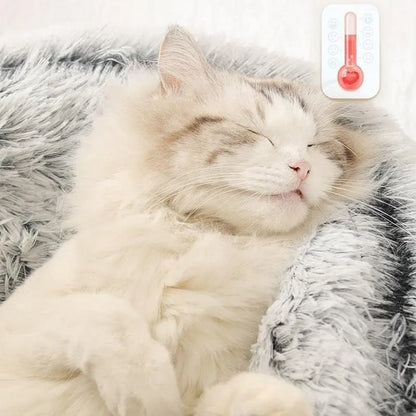 CozyPaws 2-in-1 Katzen- und Kleinhundebett